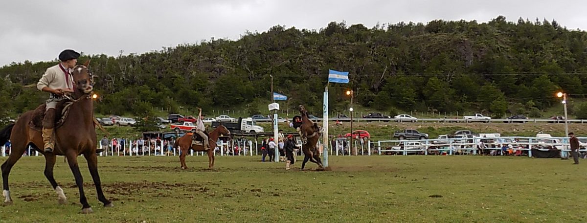 DSCN6136