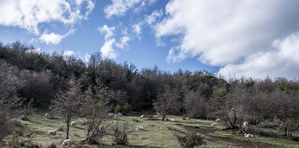 Centinela Cerro