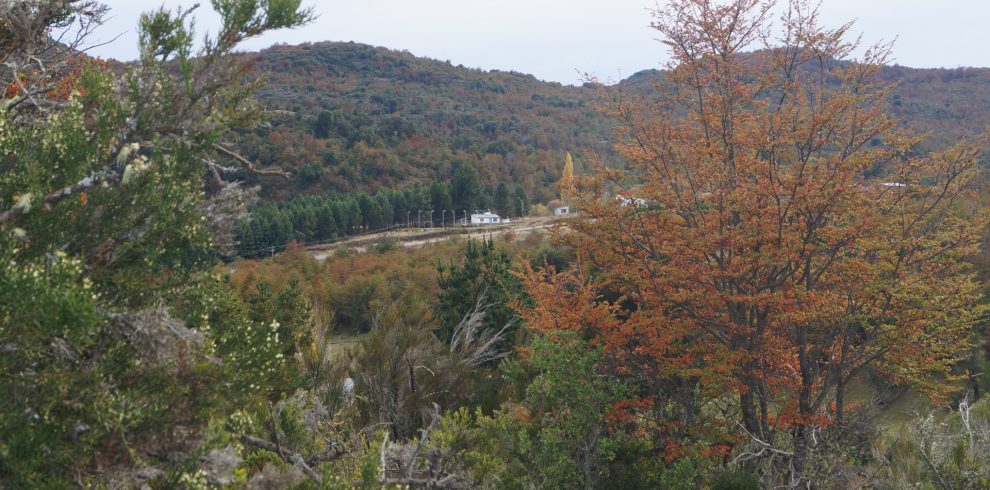 Cerro Centinela