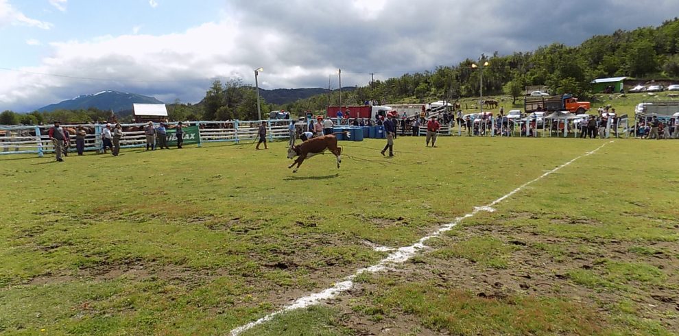 Fiesta Cerro Centinela