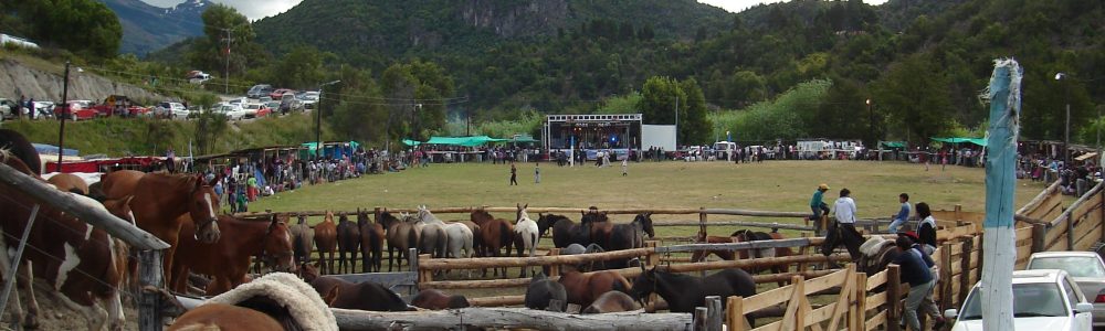 Fiesta del Salmón