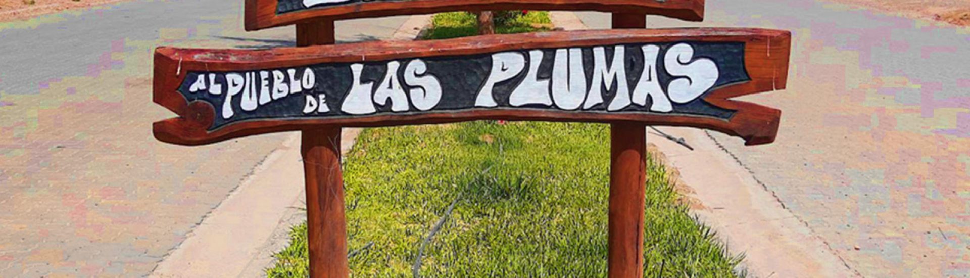 bienvenidos a las plumas